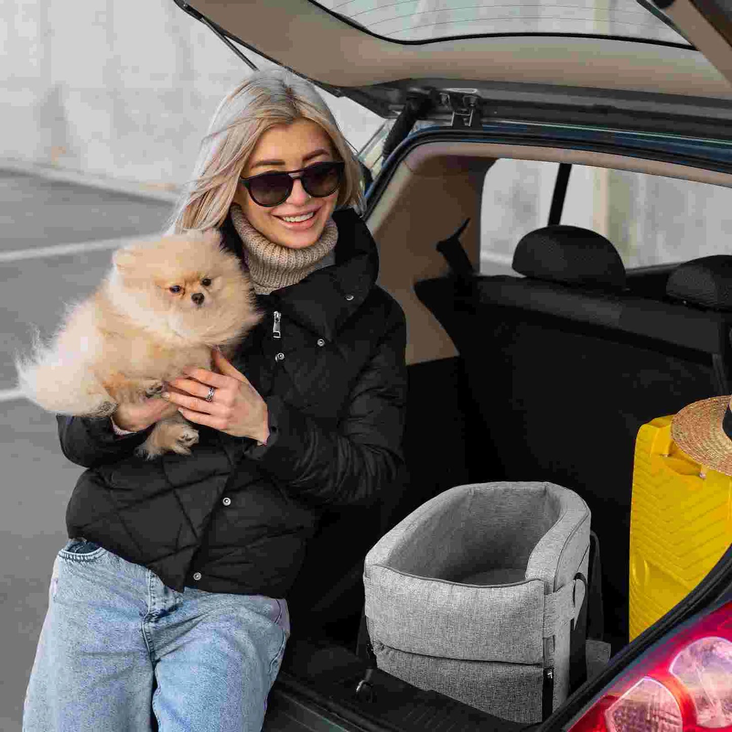 PetPorter Cozy Car Seat for Pets