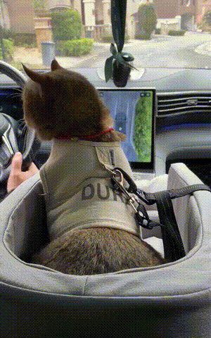 PetPorter Cozy Car Seat for Pets